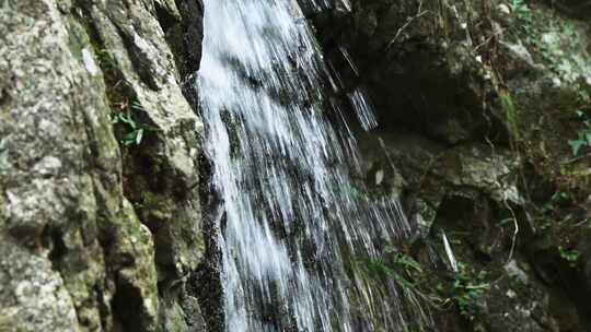 夏天森林里岩石小溪溪流瀑布流水