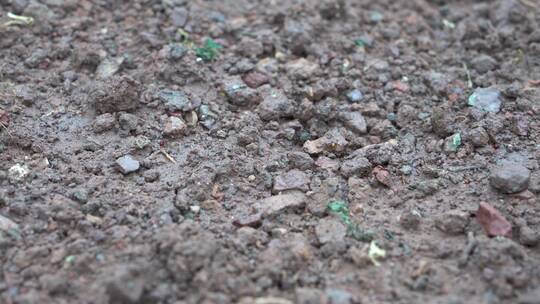 慢镜头雨水滴落在泥土上浸润土壤