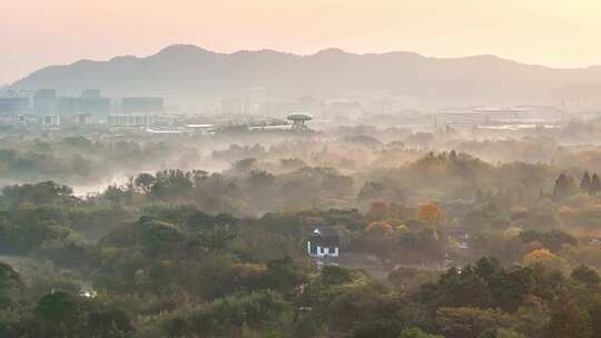 杭州秋天 西溪湿地 手摇船 湿地博物馆