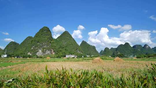 广西农村田间地头路边风景合集