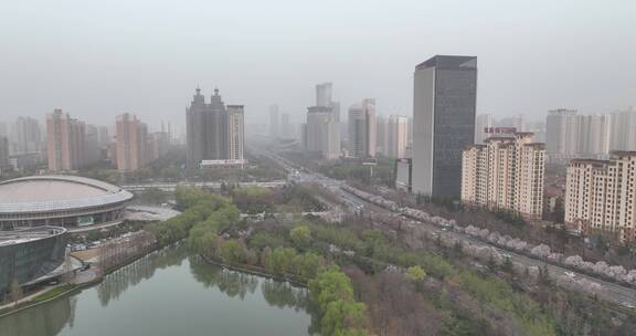 洛阳植物园樱花万物复苏春天公园道路航拍