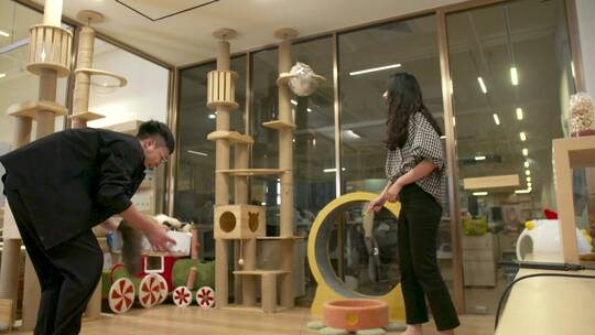 喵星人撸猫爱猫人士猫咪可爱猫咪