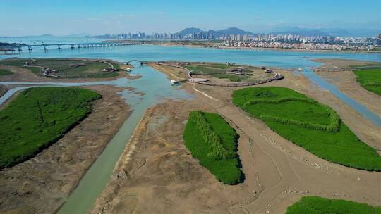 厦门航拍下潭尾湿地公园合集