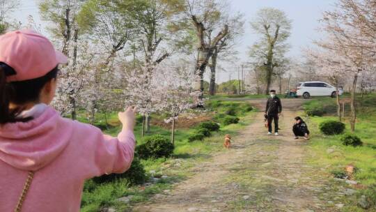 别桥哪吒绿野仙踪孩子游玩快乐场景