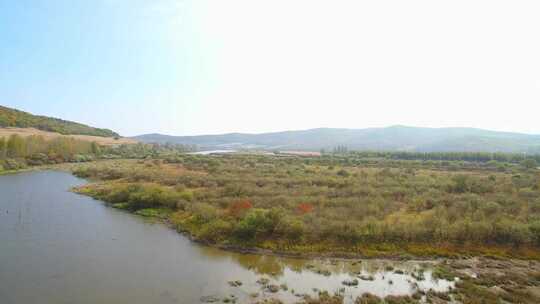 航拍吉林敦化市雁鸣湖湿地沼泽河流森林沼泽