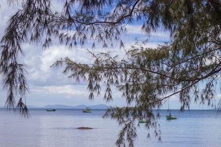 古人的足迹 探险 足迹 古人