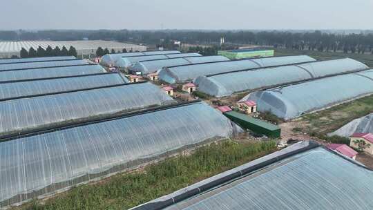 田园蔬菜大棚俯拍全景