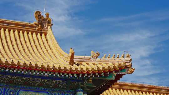 故宫宫殿屋脊兽0292