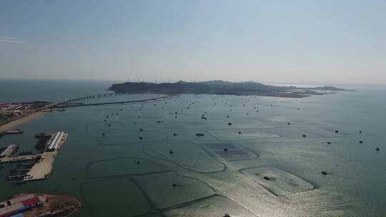 航拍海上水产养殖区全景