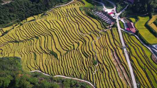 航拍山区乡村梯田