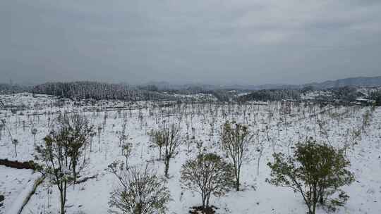 航拍自然风光冬季乡村田野