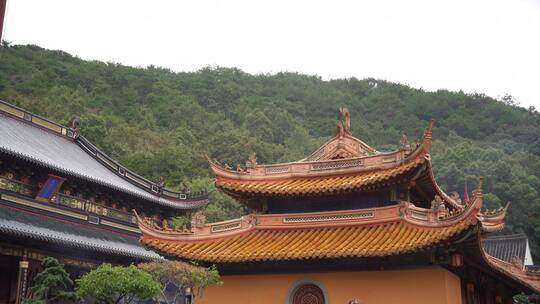 浙江普陀山法雨寺禅院建筑4K视频