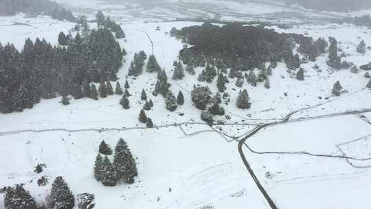 西藏林芝鲁朗林海雪原冬天乡村雪景风光航拍