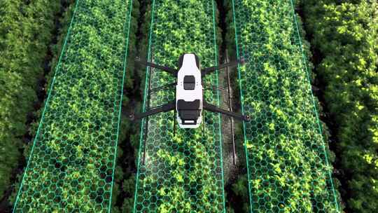无人机施肥的智慧农业视频素材模板下载