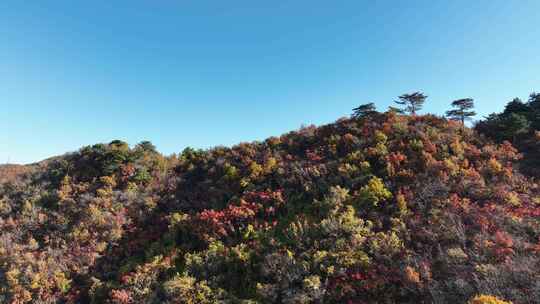 航拍千山秋季彩色山谷