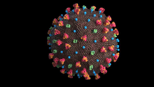 新冠病毒细胞展示视频
