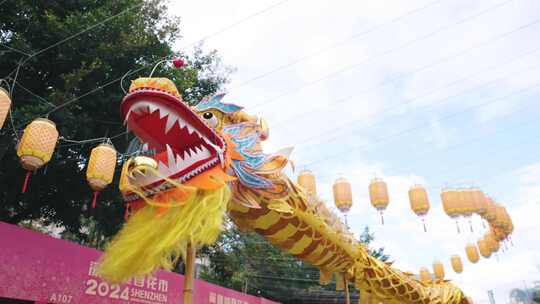 龙年舞龙春节喜庆表演  中国传统文化视频素材模板下载