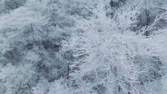 杭州临安牵牛岗雪景雾凇航拍下雪