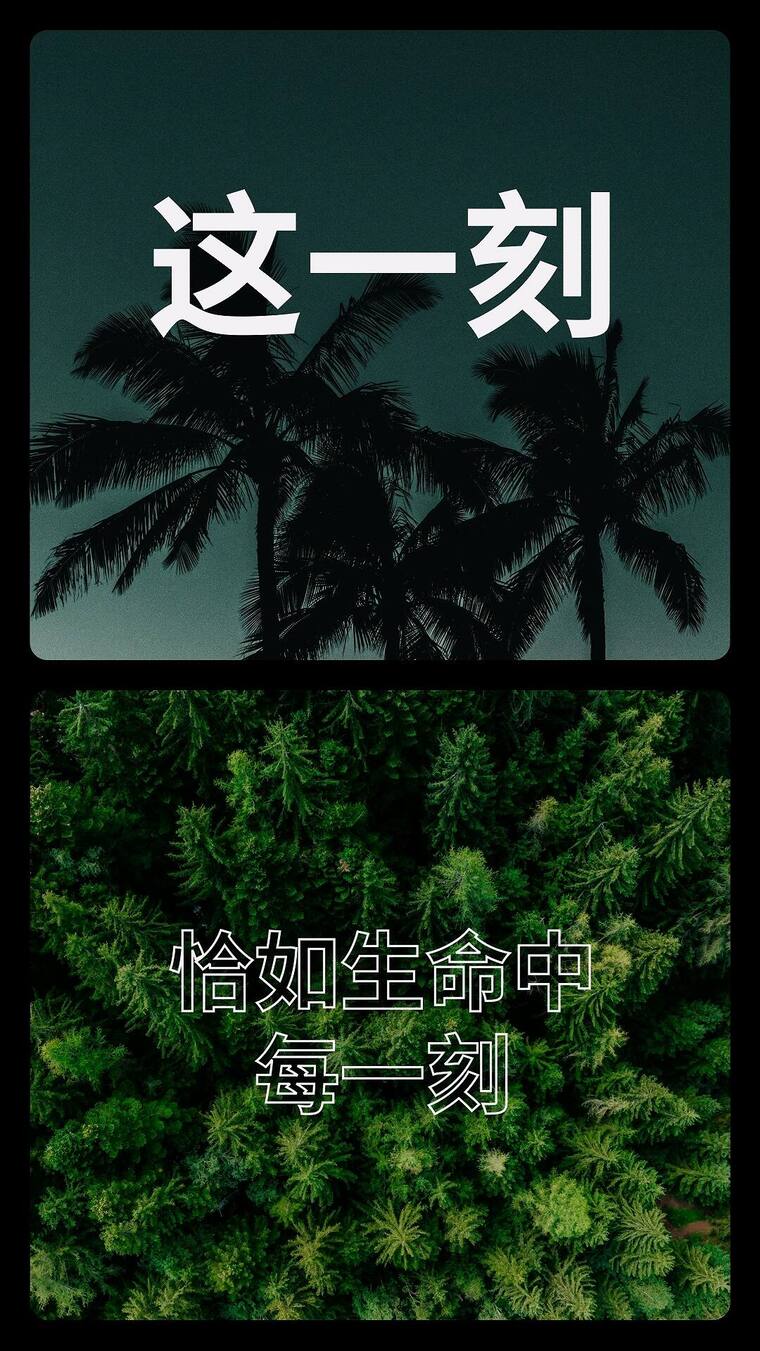 丝滑竖版双屏分屏图文展示