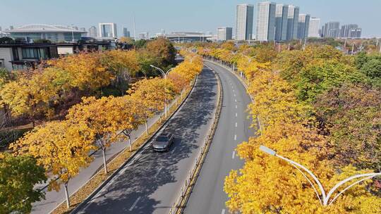 4K秋天秋景山林城市道路航拍