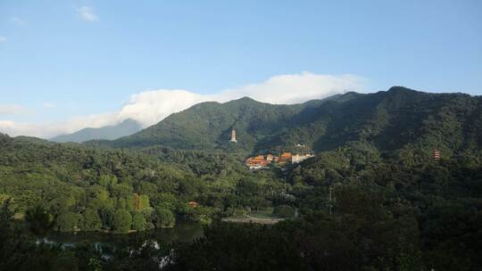 仙湖植物园延时白云挂山头