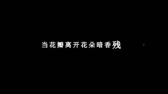 沙宝亮-暗香dxv编码字幕歌词