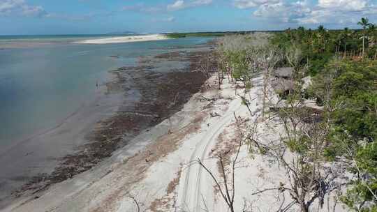 Jericoacoara Ceara巴西。风景优美的沙丘和绿松石雨水湖