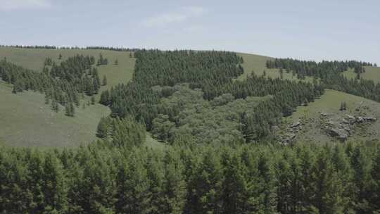 航拍内蒙古呼和浩特敕勒川高山草原夏季风光