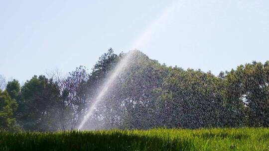 城市草坪洒水喷水逆光升格视频