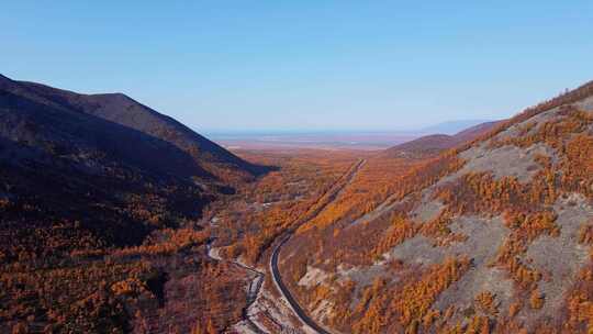 山中公路漫山遍野