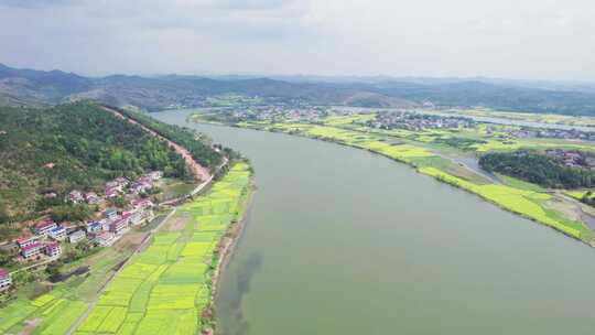 湖南省衡东县杨林镇洣水河畔油菜花航拍4k