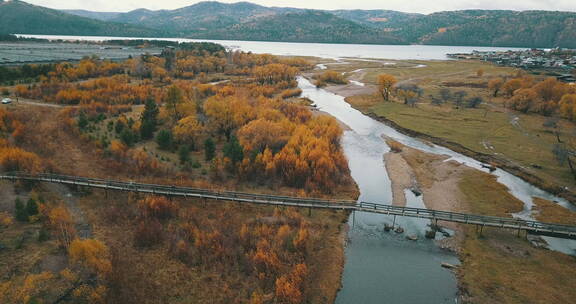 俄罗斯西伯利亚树木溪流桥