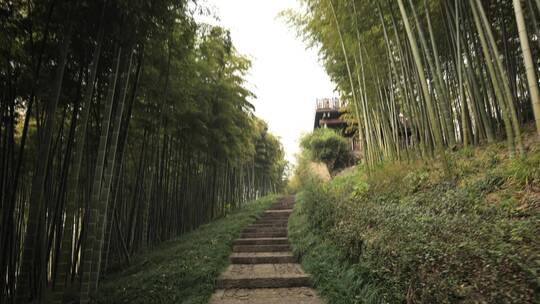 浙江杭州良渚古城遗址风光