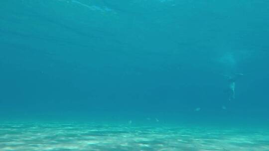在海水深处游泳的人视频素材模板下载