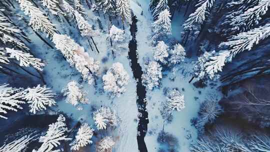 冬天大雪树林冬季风景冬日