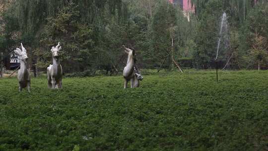 树林草丛浇水实拍 雕像