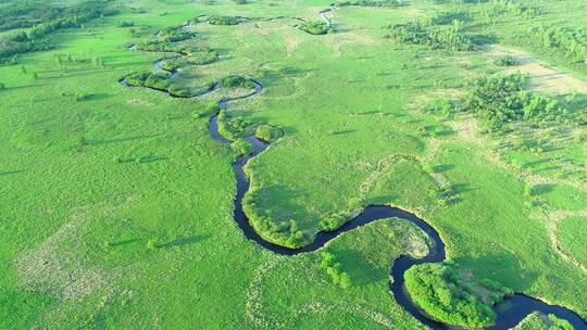 航拍绿色原野弯曲的河流
