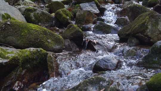 河流溪流溪水泉水河流水流河水水源山水河水