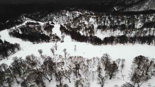 日本，滑雪山，冬季运动，单板滑雪