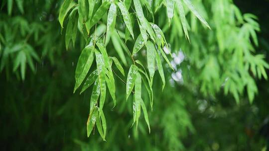 雨天屋檐雨滴古建筑雨景下雨意境