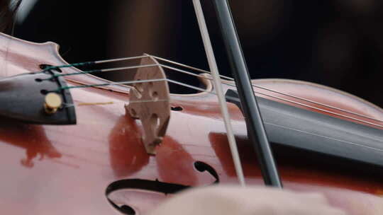 多个场景小提琴表演 拉小提琴 音乐乐器