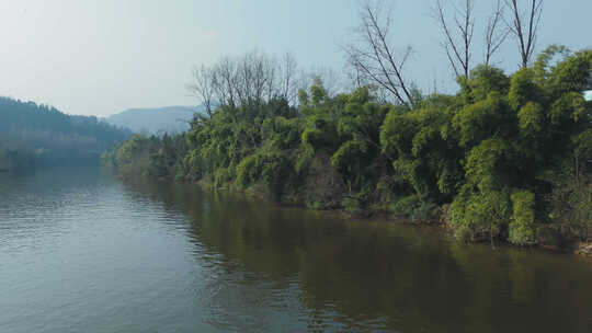 河面河边茂密竹林