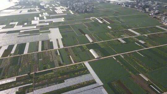 万亩蔬菜基地广阔的