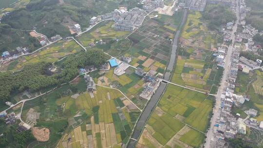 航拍乡村秋收稻谷土地