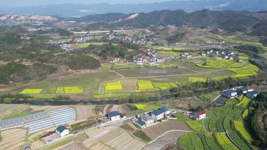 航拍乡村田野油菜花田