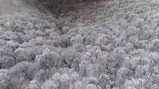 航拍下雪后的山林