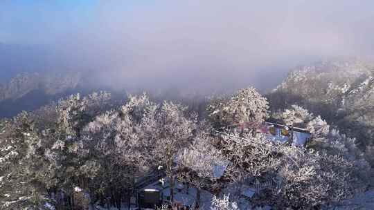 伏牛山冬季雪景云海雾凇