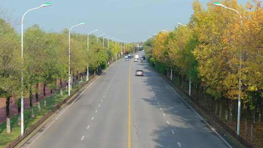 西安河堤路秋色 道路 交通