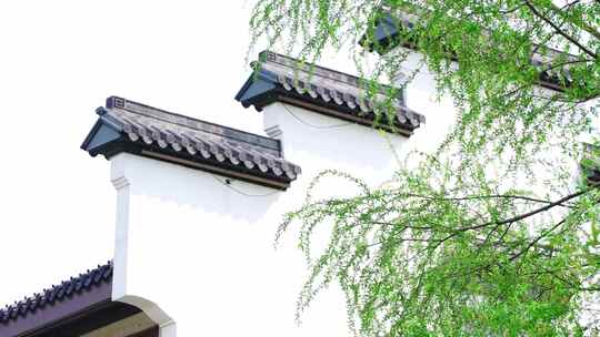 中式建筑 中国风 园林景观视频素材模板下载