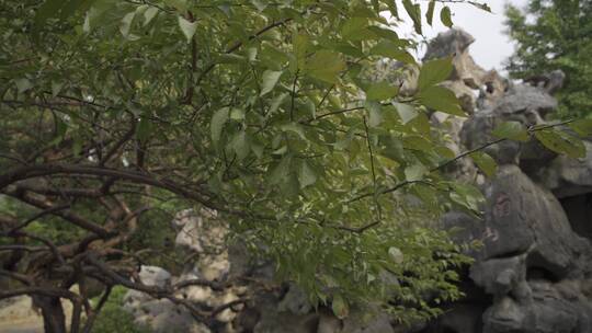 杭州江寺公园古典园林风景